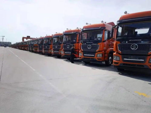 陜汽重卡 價(jià)值引領(lǐng)贏市場，品質(zhì)營銷交付忙，助力國內(nèi)貨物運(yùn)輸代理蓬勃發(fā)展