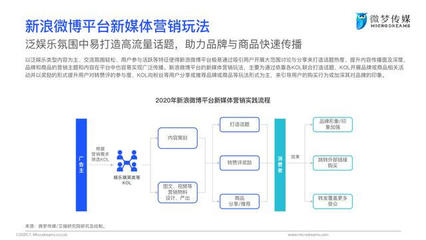 2020年中國新媒體營銷策略白皮書 微夢營銷的戰略與實踐洞察